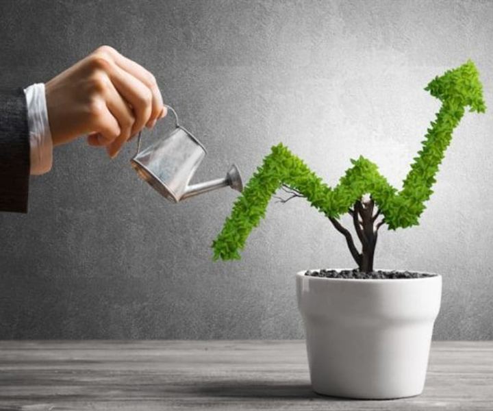VIP Invest